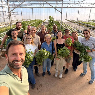 https://www.groho.pt/product/formacao-hidroponia-estufa