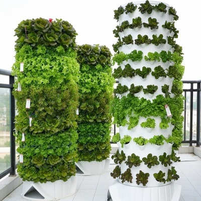 Torres de cultivo vertical com alfaces verdes e roxas numa varanda