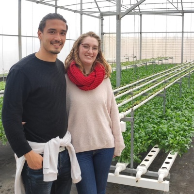 Casal numa estufa ao lado de sistemas hidropónicos com plantas verdes