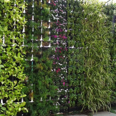 https://www.groho.pt/product/curso-online-jardins-verticais-hidroponia
