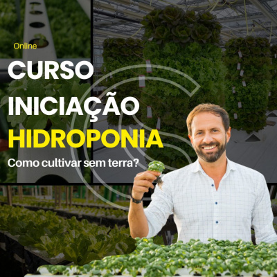 Homem segurando planta em estufa com plantas hidropónicas e texto sobre curso de hidroponia