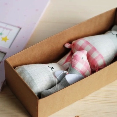 Dois bonecos de peluche para bebé em caixa de cartão castanha ao lado de livro rosa com fotos de bebé