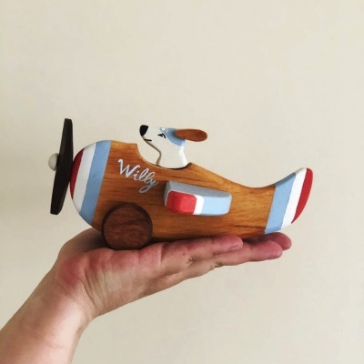Avião de madeira colorido com cão piloto sobre mão