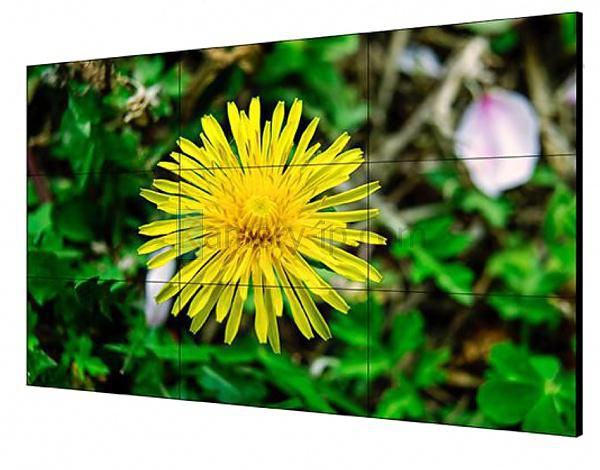 Monitor Videowall 55" Hikvision DS-D2055LE-G Full HD 500 cd/m² Painel decorativo com flor amarela e folhas verdes ao fundo