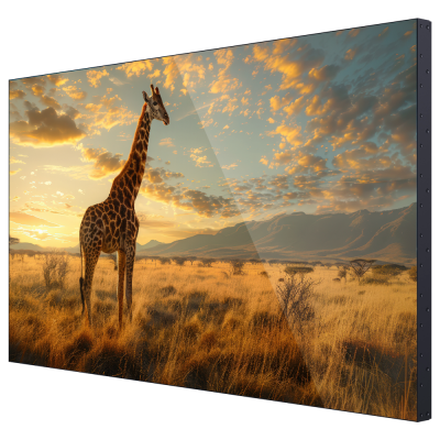 Ecrã digital curvo com imagem de girafa na savana ao pôr do sol.