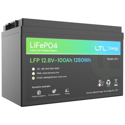 Bateria LiFePO4 preta com etiqueta verde e azul mostrando especificações e contactos.