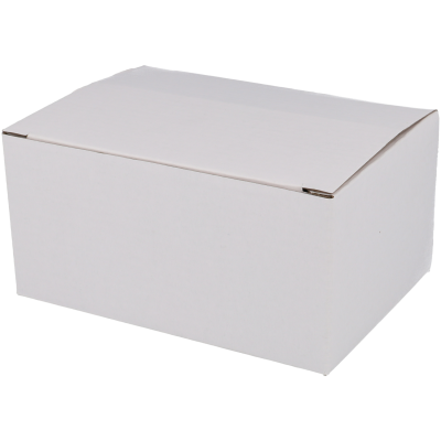 Caixa de cartão branca simples com tampa