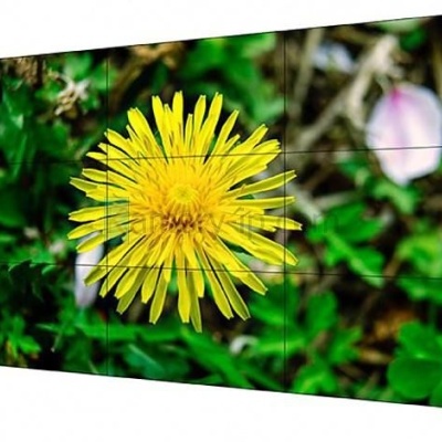 Painel decorativo com flor amarela e folhas verdes ao fundo