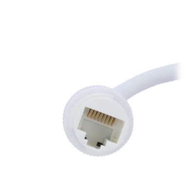 Ficha RJ45 branca com cabo branco e pinos dourados