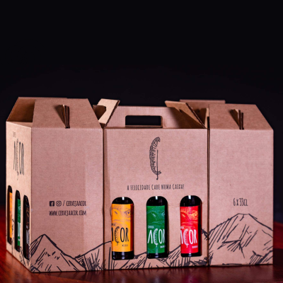 Pack de cerveja craft em caixa de cartão com três garrafas visíveis e rótulos coloridos
