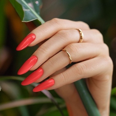 Mão com unhas vermelhas e anéis dourados segurando folha verde