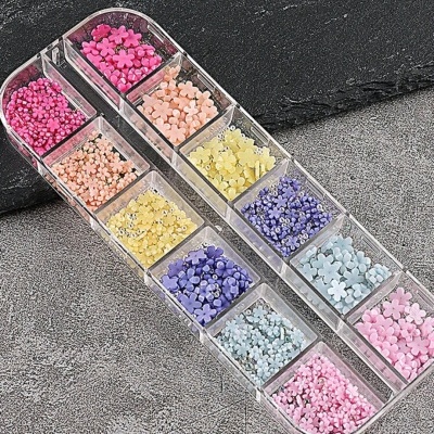 Caixa transparente com 12 compartimentos contendo pequenos itens decorativos coloridos em forma de flores e pontos.