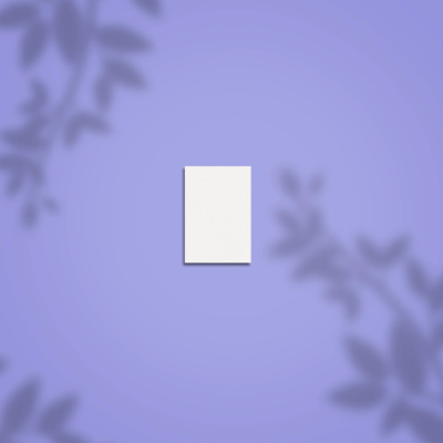 Cartão branco sobre fundo lilás com sombras de folhas.