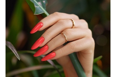 Mão com unhas vermelhas e anéis dourados segurando folha verde