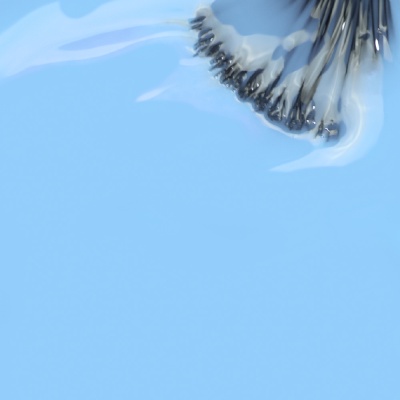 Cabos ou fios com extremidades metálicas em embalagem plástica