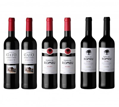 Sete garrafas de vinho tinto com diferentes rótulos e tampas em fundo branco