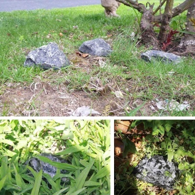 Pedras cinzentas marmorizadas no solo com relva e vegetação