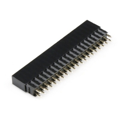 Conector de pinos preto com dupla fila de 20 pinos dourados