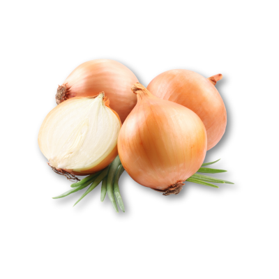 Cebolas castanhas com uma cortada ao meio sobre folhas verdes