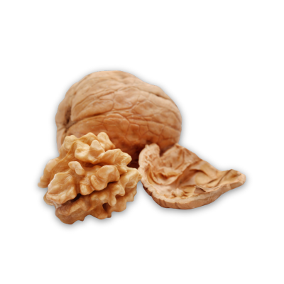 Noz inteira, noz descascada e casca vazia sobre fundo branco