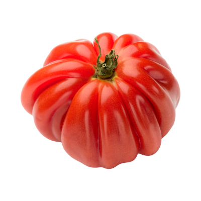 Tomate maduro vermelho com sulcos profundos e caule verde.