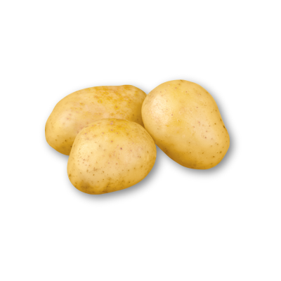 Três batatas amarelas claras sobre fundo branco