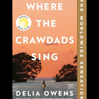 Capa do livro 'Where The Crawdads Sing' com pôr do sol, árvores e barco na água