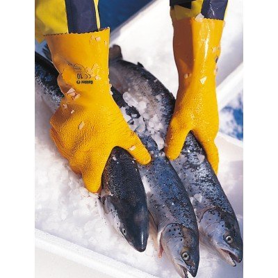 Três peixes em gelo sendo segurados por luvas amarelas