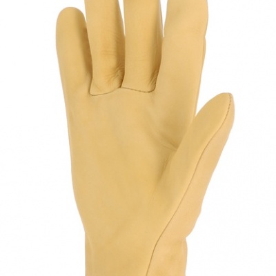 Luvas de pele bege contra fundo branco