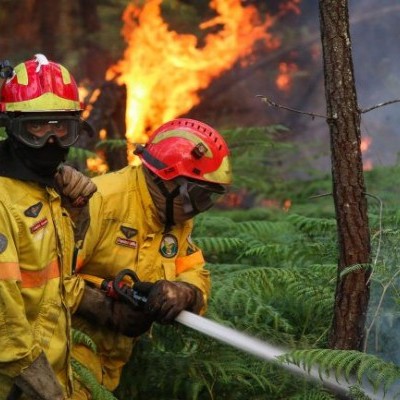 Dois bombeiros florestais com equipamentos amarelos e capacetes vermelhos combatem incêndio na floresta
