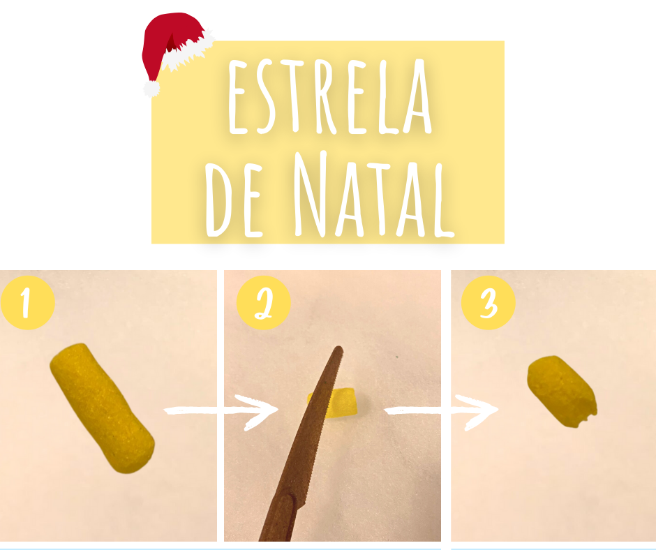 Estrela de Natal Tips