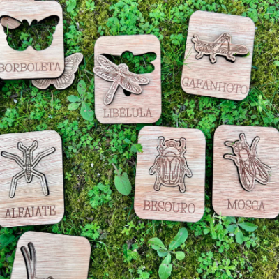Conheces este Inseto? Puzzle Peças de madeira com gravuras de insetos e nomes em português sobre vegetação.