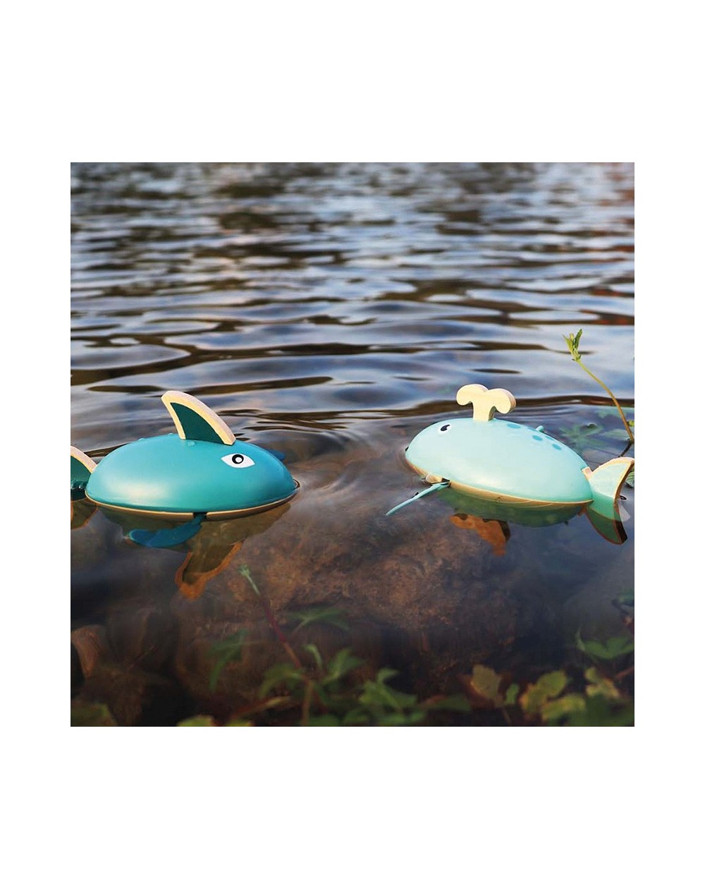 Tubarão-Baleia de Corda para Água Dois brinquedos aquáticos em forma de tubarão azul e baleia azul clara na água