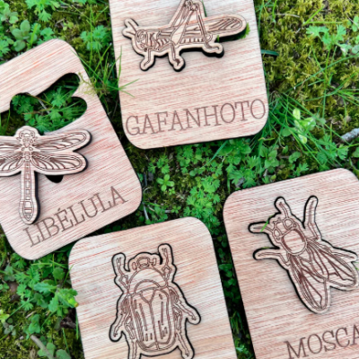Peças de madeira com desenhos e nomes de insetos gravados, colocadas sobre musgo