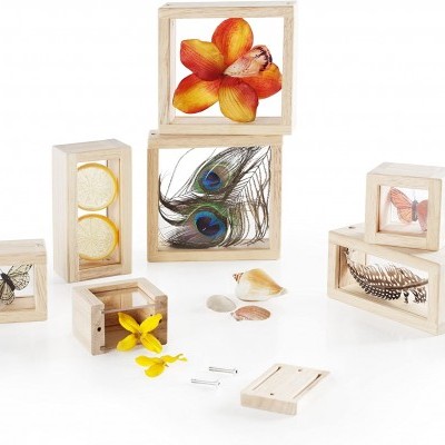 Caixas de madeira com tampas transparentes exibem flores, penas, limões e borboletas