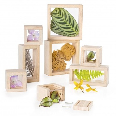 Caixas de madeira transparentes com elementos naturais dentro