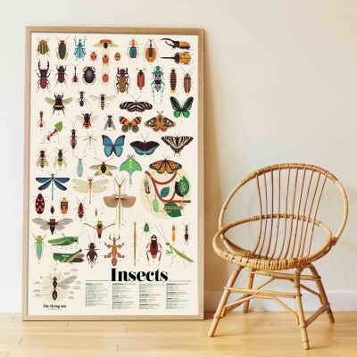 https://www.ludicenter.pt/product/poster-gigante-insectos