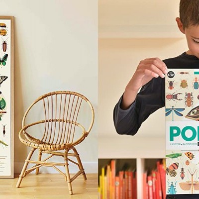 Poster e pacote educativo de insetos junto a cadeira e criança