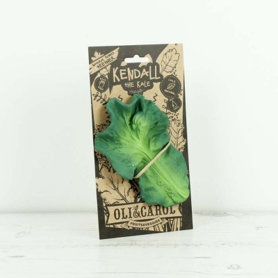 folha artificial de couve verde presa a cartão com texto e ilustrações