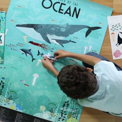 Rapaz a montar poster educativo do oceano com autocolantes num chão de madeira