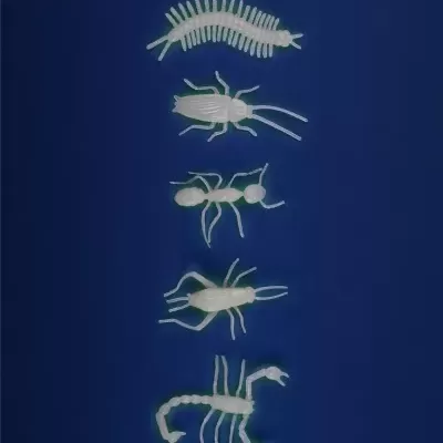 Figuras luminosas de insetos e artrópodes sobre fundo azul escuro
