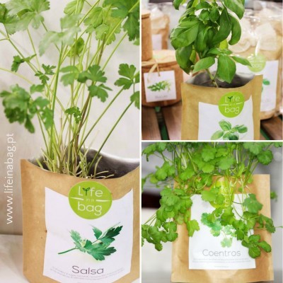 Três plantas aromáticas em sacos kraft com etiquetas Lyfe bag, Salsa e Coentros