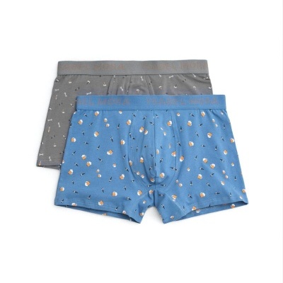 Boxer&#x20;de&#x20;homem&#x20;estampados&#x20;&#x28;pack&#x20;2&#x29;&#x20;ysabel&#x20;mora&#x20;20418