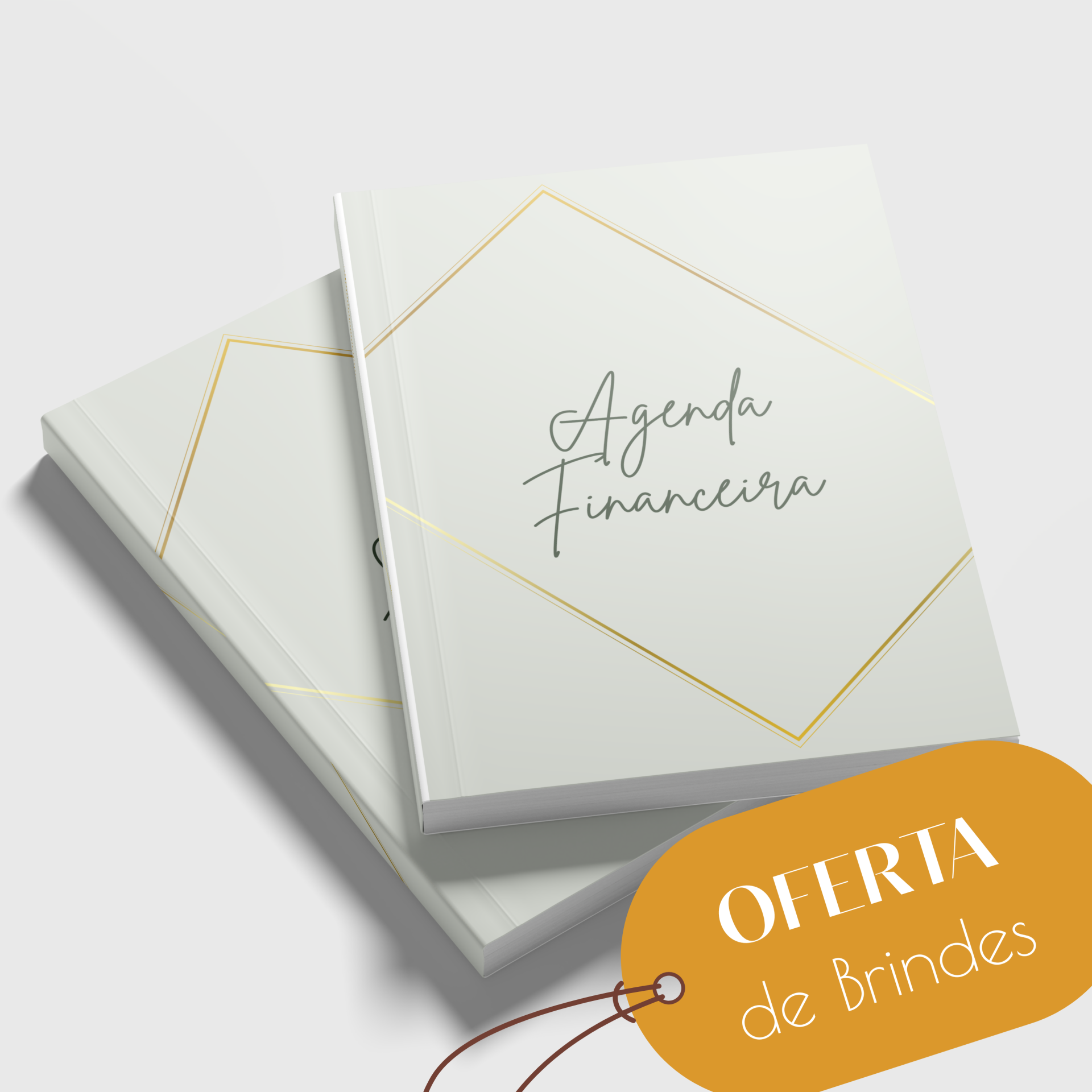 Agenda Financeira Agendas financeiras com capa branca e detalhe dourado
