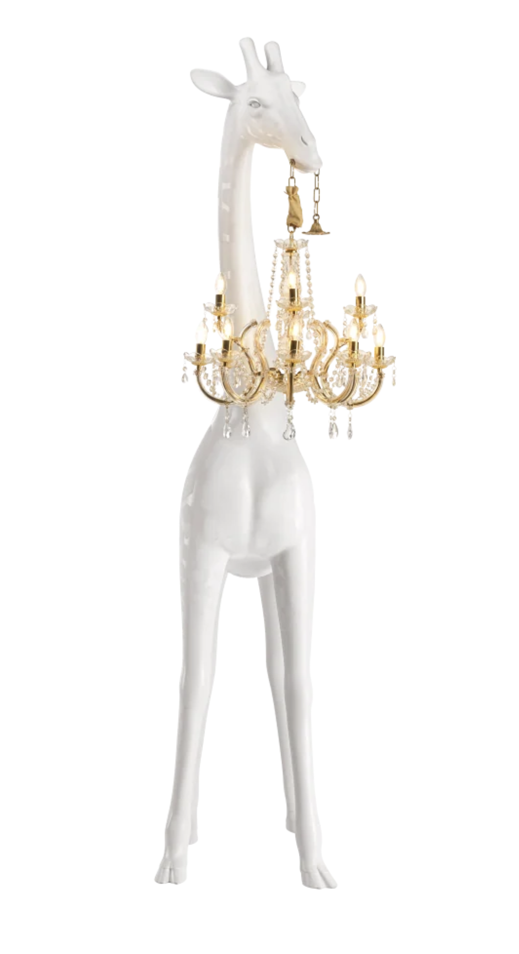 GIRAFFE IN LOVE M Indoor Escultura branca de girafa com lustre dourado pendurado na boca