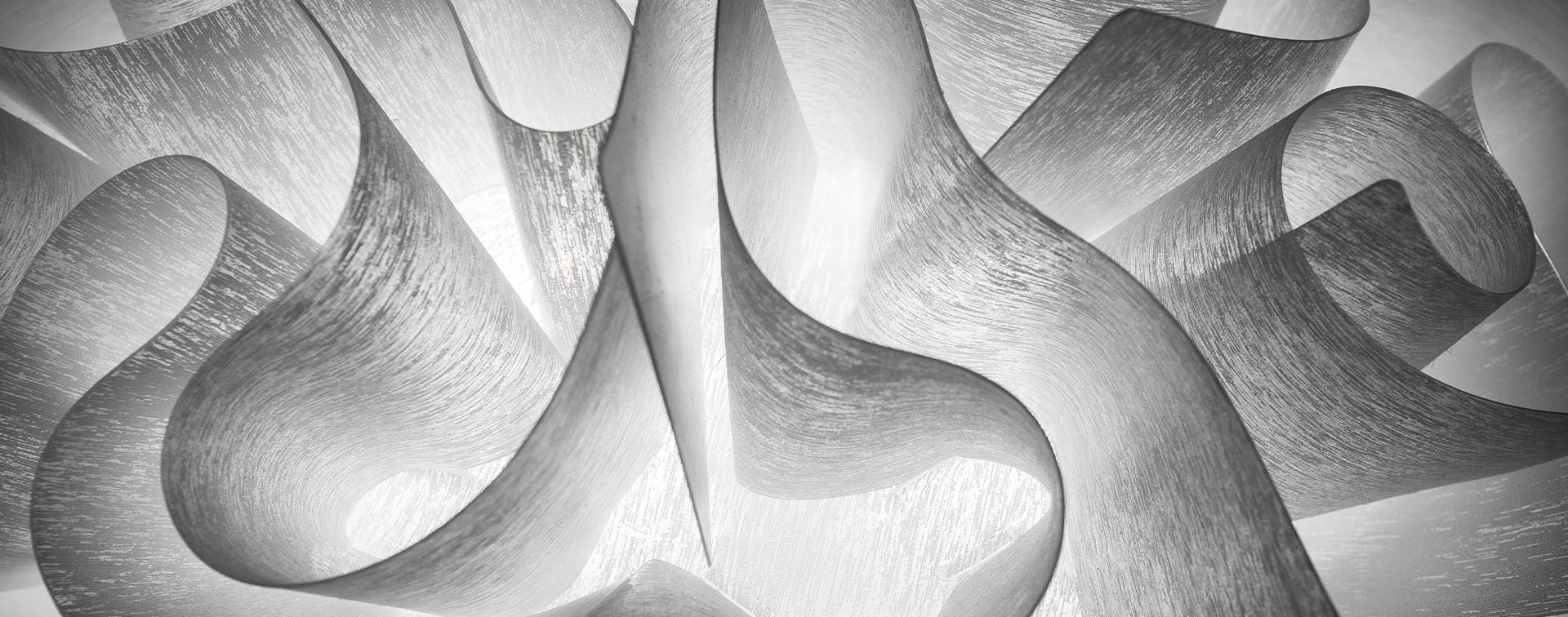 VELI COUTURE by Adriano Rachele Padrão abstrato preto e branco com formas curvas texturizadas