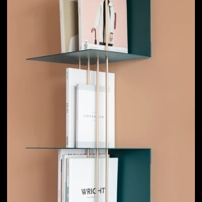 Prateleira de parede verde escuro com livros organizados verticalmente entre varões metálicos