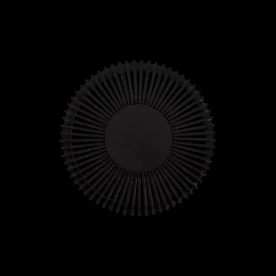 Objeto circular preto com raios finos em fundo preto