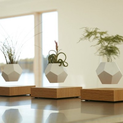 Três vasos geométricos brancos flutuando sobre bases de madeira com plantas diferentes