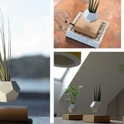 Difusores de fragrância cerâmicos brancos com plantas artificiais sobre bases de madeira clara em ambiente interior